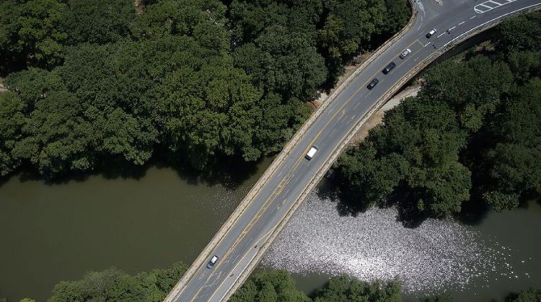 Πανοραμική λήψη από την κοιλάδα των Τεμπών © INTIME NEWS/ΚΩΝΣΤΑΝΤΟΠΟΥΛΟΣ ΒΑΣΙΛΗΣ