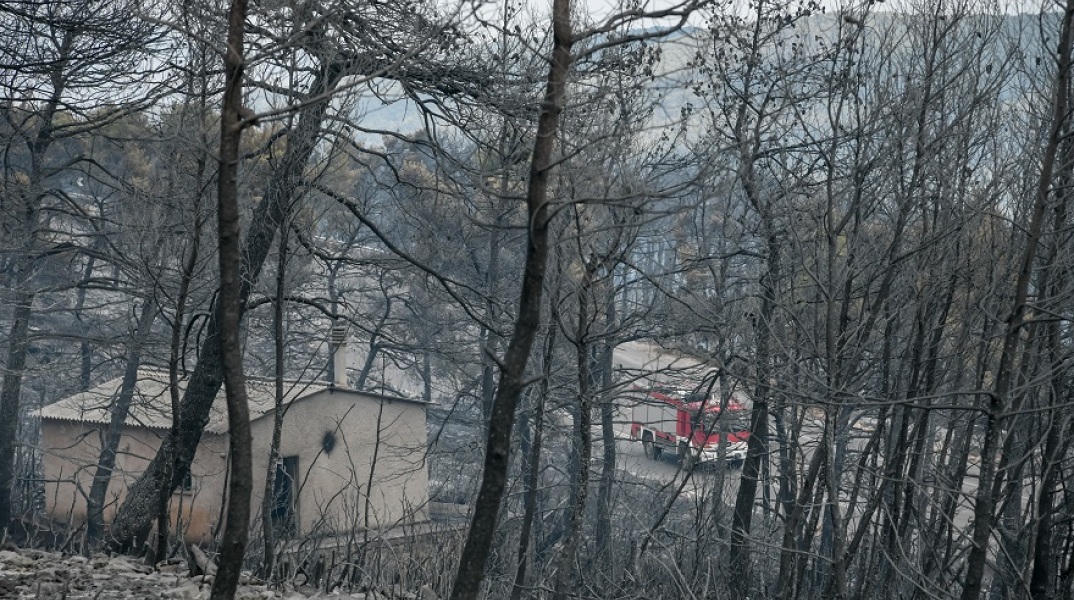 Βίλια: Η επόμενη ημέρα από το πέρασμα της φωτιάς