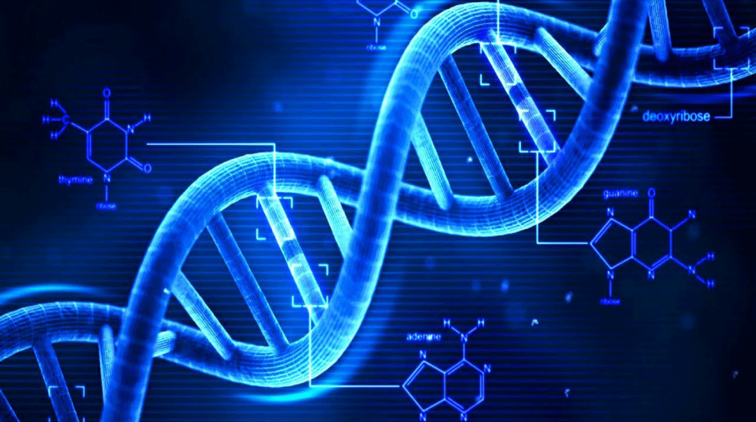 dna2.png