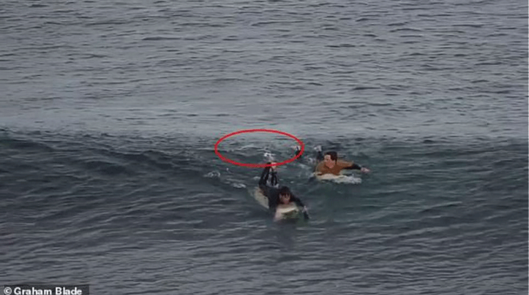 Επίθεση καρχαρία σε σέρφερ στην Αυστραλία 