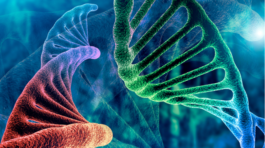 Ελπιδοφόρα μηνύματα για τη θεραπεία του καρκίνου