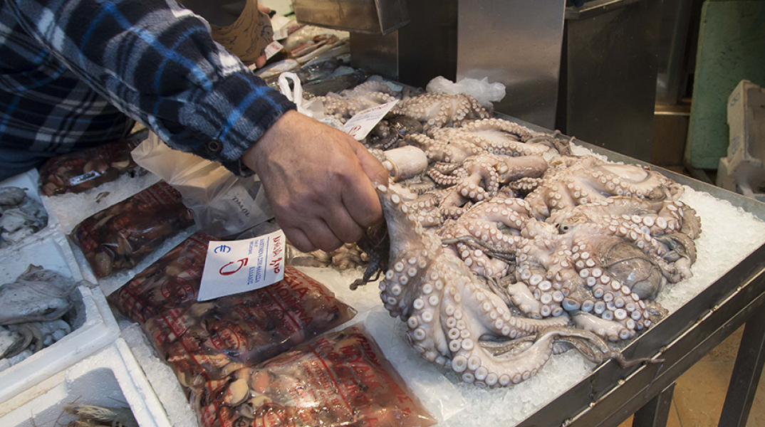  ΘΕΣΣΑΛΟΝΙΚΗ - ΣΑΡΑΚΟΣΤΙΑΝΑ 
