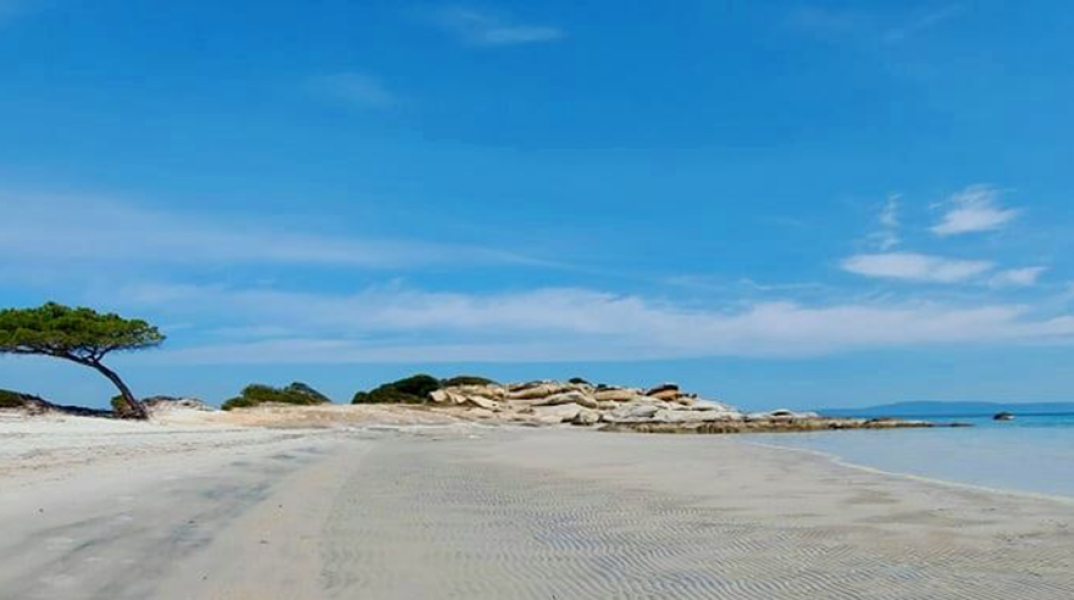 Χαλκιδική: Η άμπωτη «εξαφάνισε» τη θάλασσα στο Καρύδι Σιθωνίας