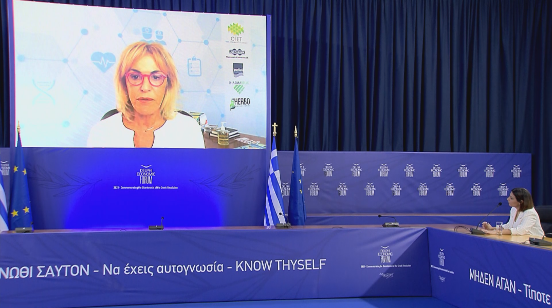 Ιουλία Τσέτη: Αναγκαία η δημιουργία ενός νέου παραγωγικού μοντέλου