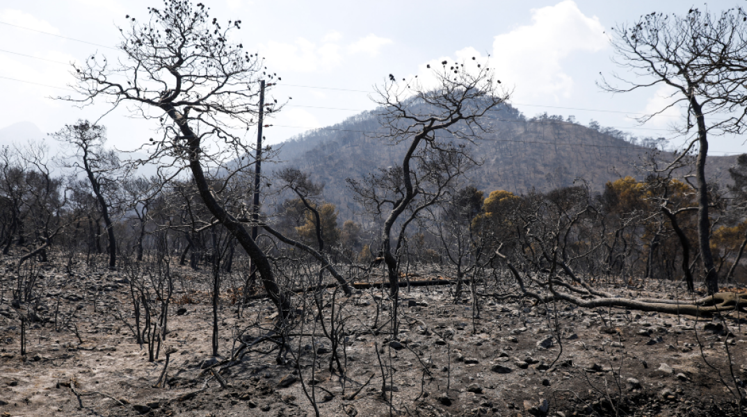 Η πυρκαγιά στα Γεράνεια Όρη ήταν η σημαντικότερη δασική της τελευταίας δεκαετίας