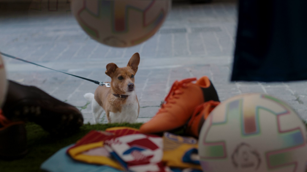 O πιο πιστός φίλος του Euro είναι ο Rex