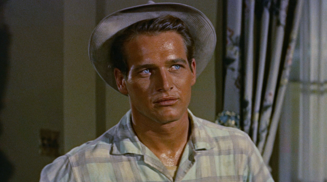 Πολ Νιούμαν, «The long hot summer» 1958