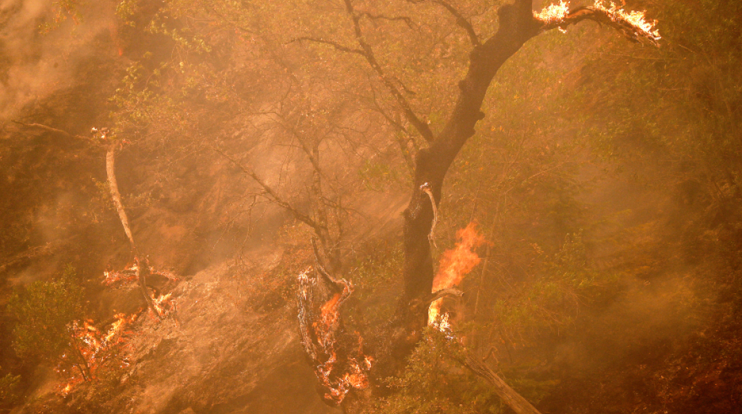 Πυρκαγιές στην Καλιφόρνια