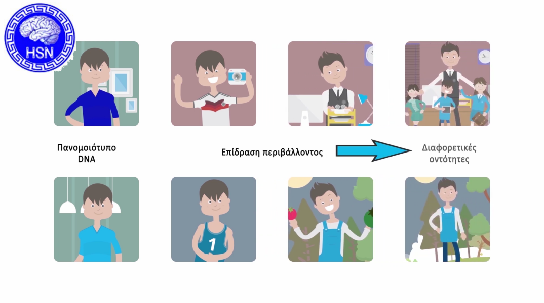 «Φως» στα μυστικά του εγκεφάλου μέσα από εκπαιδευτικά βίντεο 