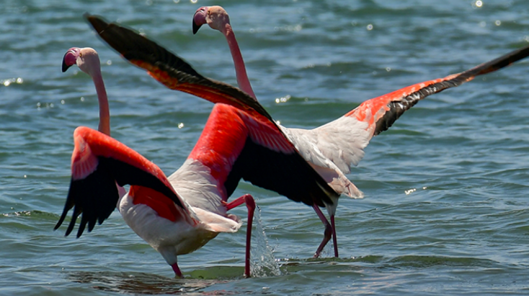 Βελτιώνεται κι άλλο ο καιρός το Σάββατο 