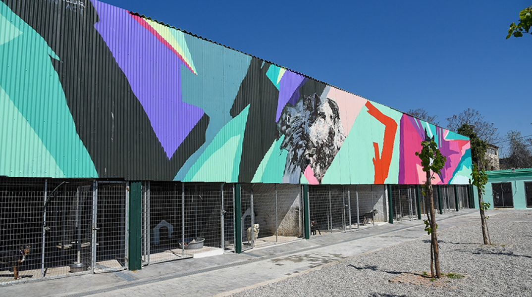 ΕΤΟΙΜΟ ΤΟ ΠΡΩΤΟ ΚΑΤΑΦΥΓΙΟ ΑΔΕΣΠΟΤΩΝ ΖΩΩΝ ΤΟΥ ΔΗΜΟΥ ΤΗΣ ΑΘΗΝΑΣ