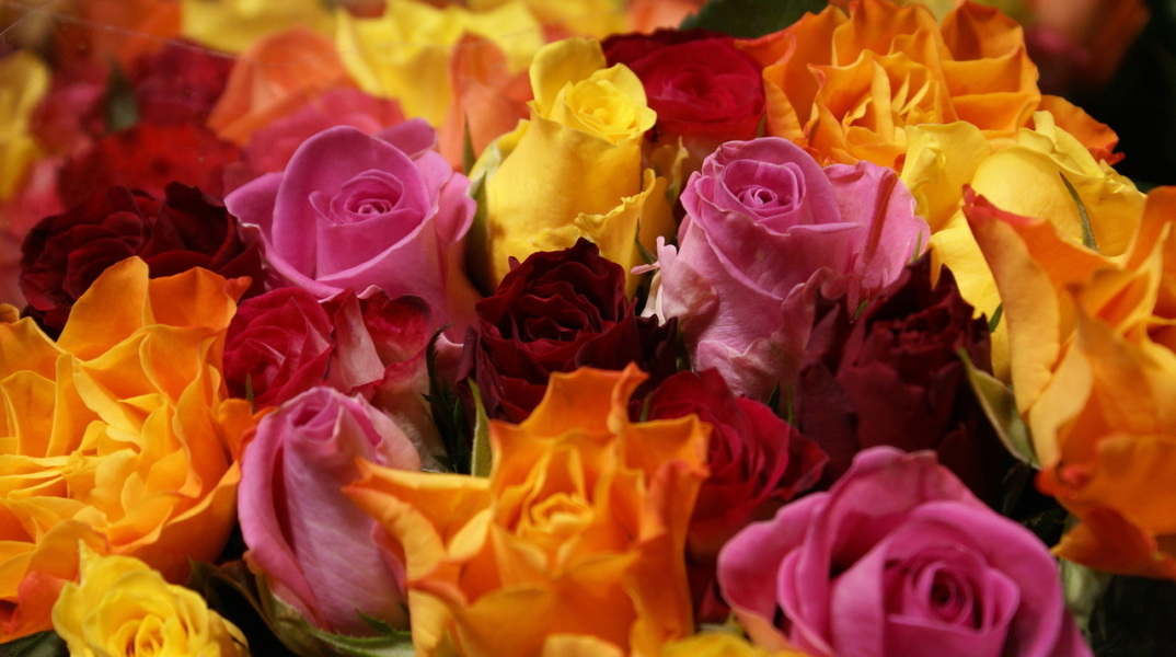 Εορτολόγιο: Σήμερα 10 Αυγούστου γιορτάζει…