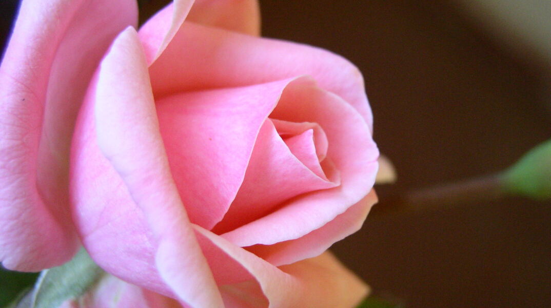 Εορτολόγιο: Σήμερα 14 Αυγούστου γιορτάζει…