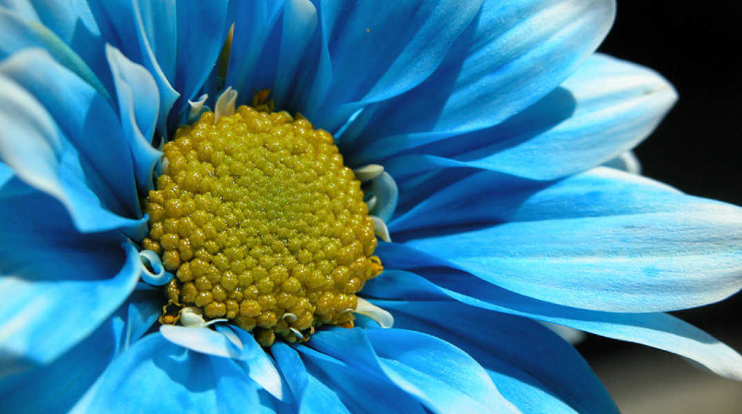 Εορτολόγιο: Σήμερα 20 Αυγούστου γιορτάζει…