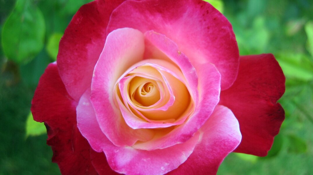 Εορτολόγιο: Σήμερα 27 Αυγούστου γιορτάζει…