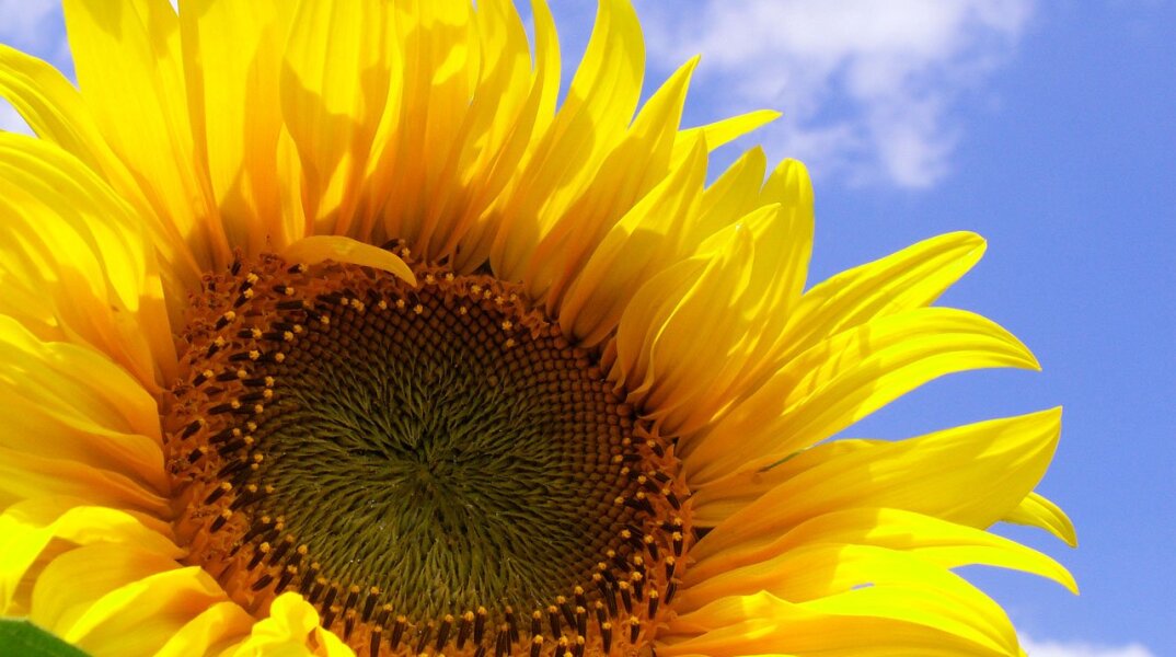 Εορτολόγιο: Σήμερα 28 Αυγούστου γιορτάζει…