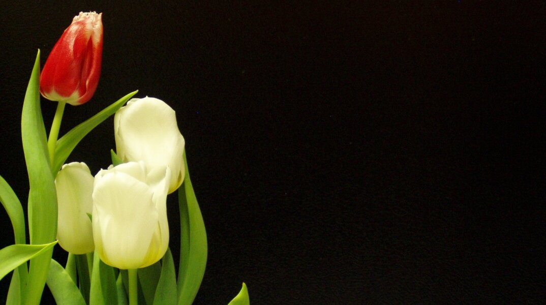 Εορτολόγιο: Σήμερα, 6 Σεπτεμβρίου, γιορτάζει…