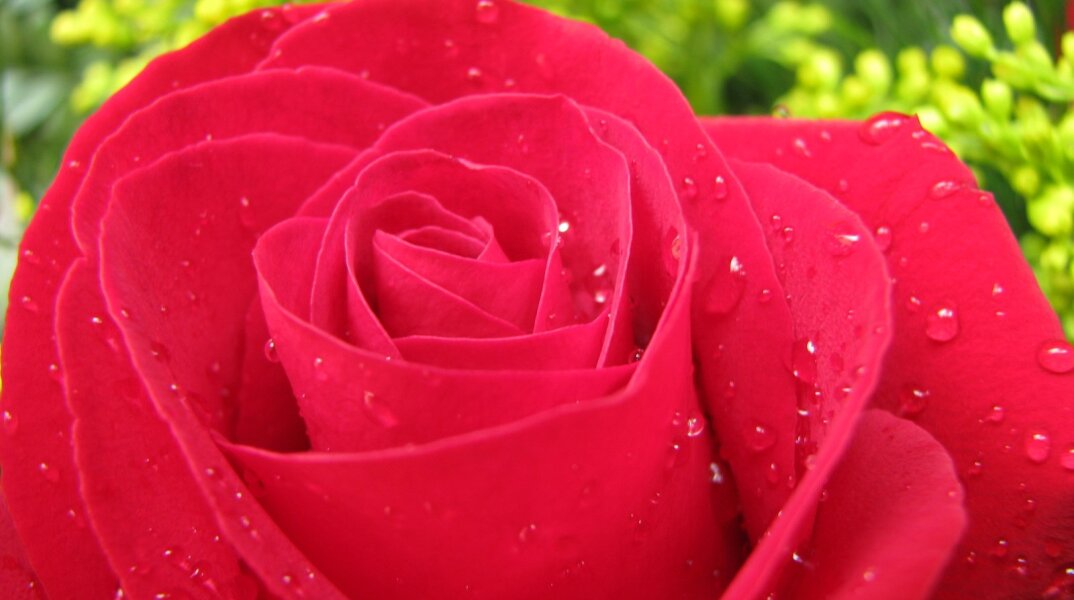 Εορτολόγιο: Σήμερα, 7 Σεπτεμβρίου, γιορτάζει…