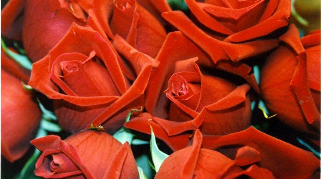 Εορτολόγιο: Σήμερα, 8 Σεπτεμβρίου, γιορτάζει…