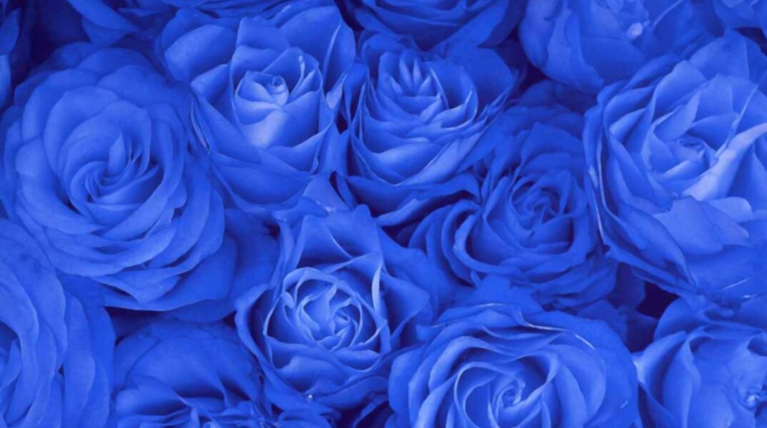 Εορτολόγιο: Σήμερα 9 Σεπτεμβρίου γιορτάζει…