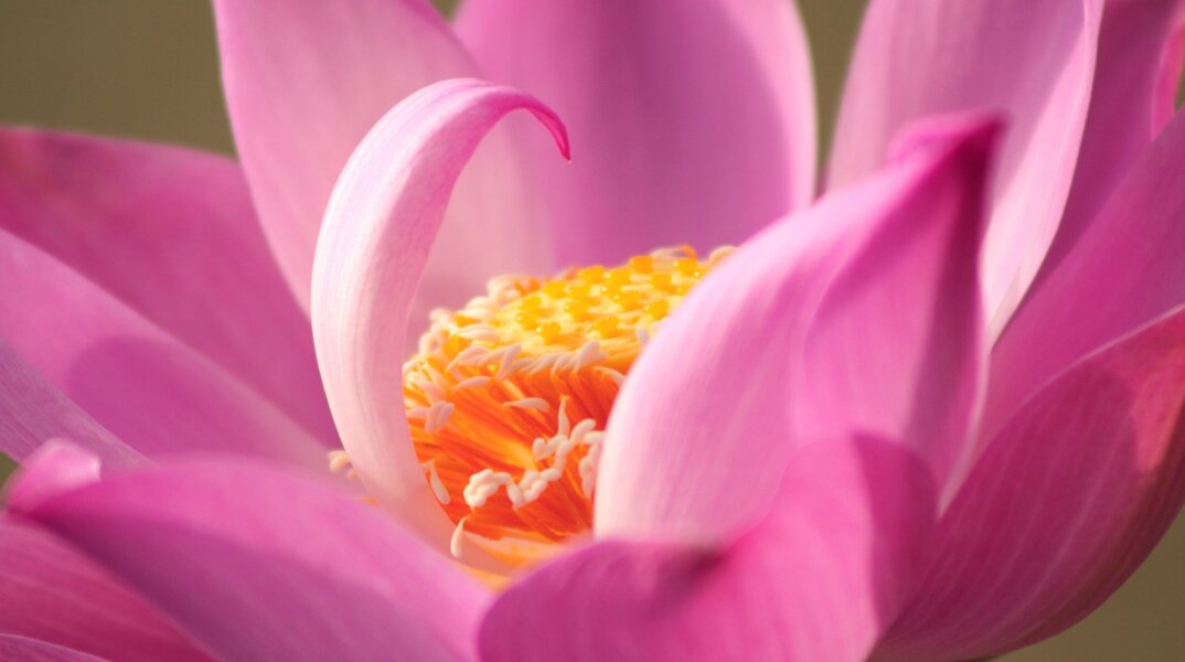 Εορτολόγιο: Σήμερα, 20 Σεπτεμβρίου, γιορτάζει…