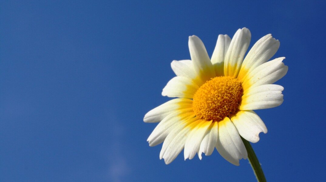 Εορτολόγιο: Σήμερα, 21 Σεπτεμβρίου, γιορτάζει…