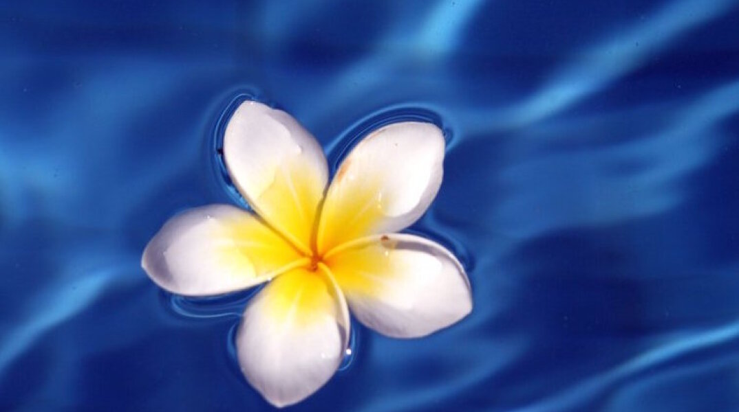 Εορτολόγιο: Σήμερα 28 Σεπτεμβρίου γιορτάζει… 