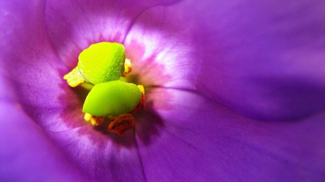 Εορτολόγιο: Σήμερα 18 Οκτωβρίου γιορτάζει…