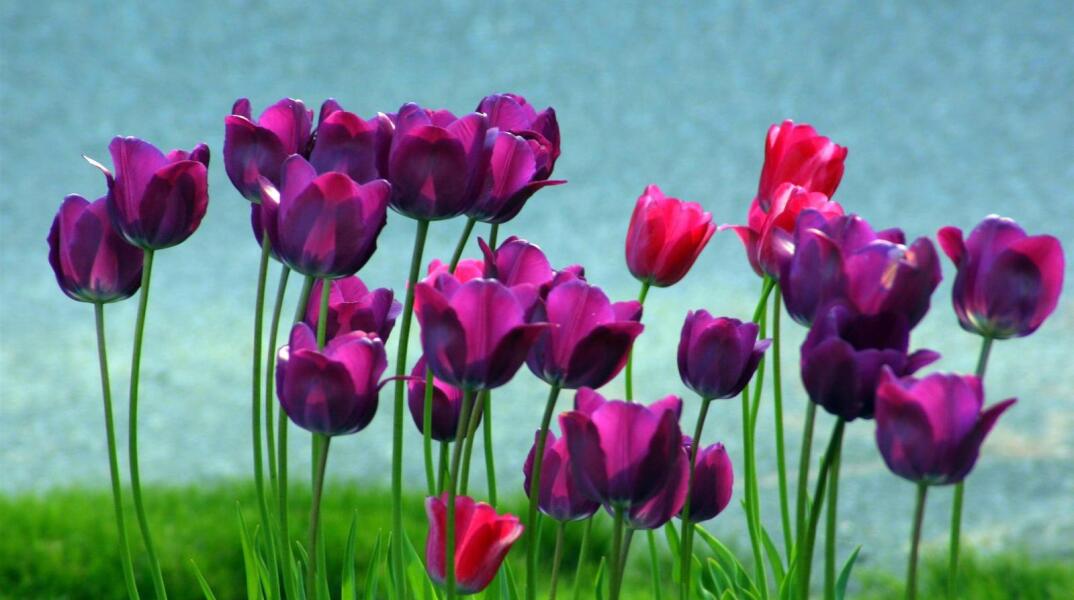 Εορτολόγιο: Σήμερα 19 Οκτωβρίου γιορτάζει…