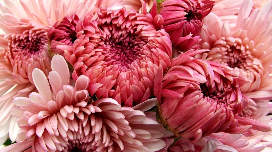 Εορτολόγιο: Σήμερα 22 Οκτωβρίου γιορτάζει…