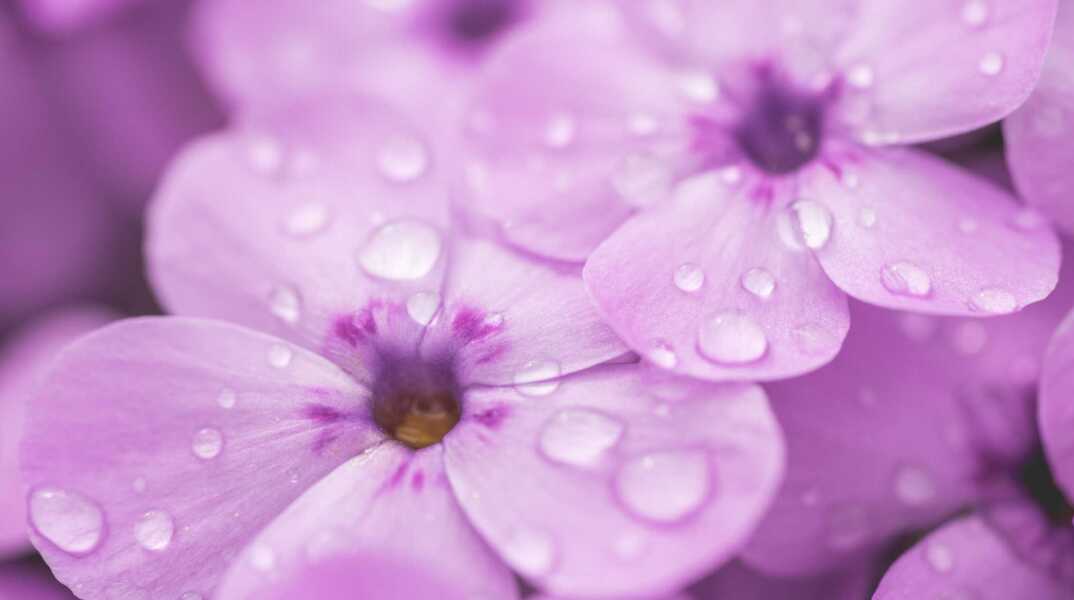 Εορτολόγιο: Σήμερα 30 Οκτωβρίου γιορτάζει…