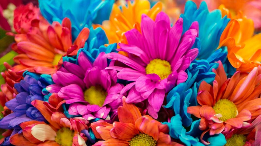 Εορτολόγιο: Σήμερα 4 Νοεμβρίου γιορτάζει…