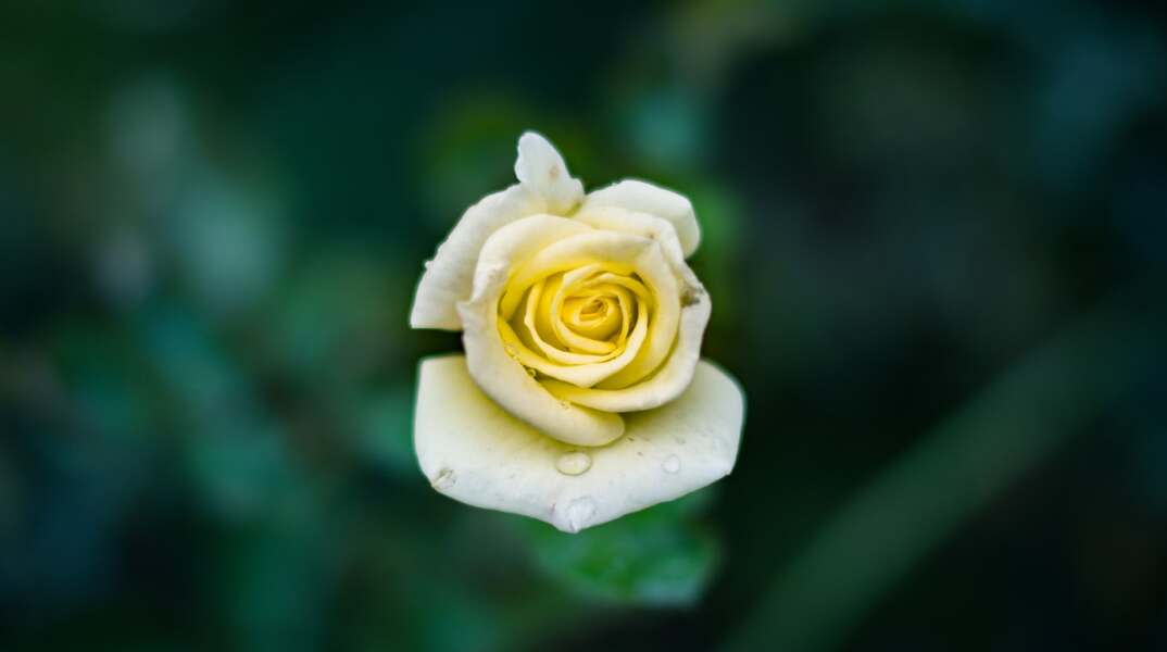 Εορτολόγιο: Σήμερα 6 Νοεμβρίου γιορτάζει…