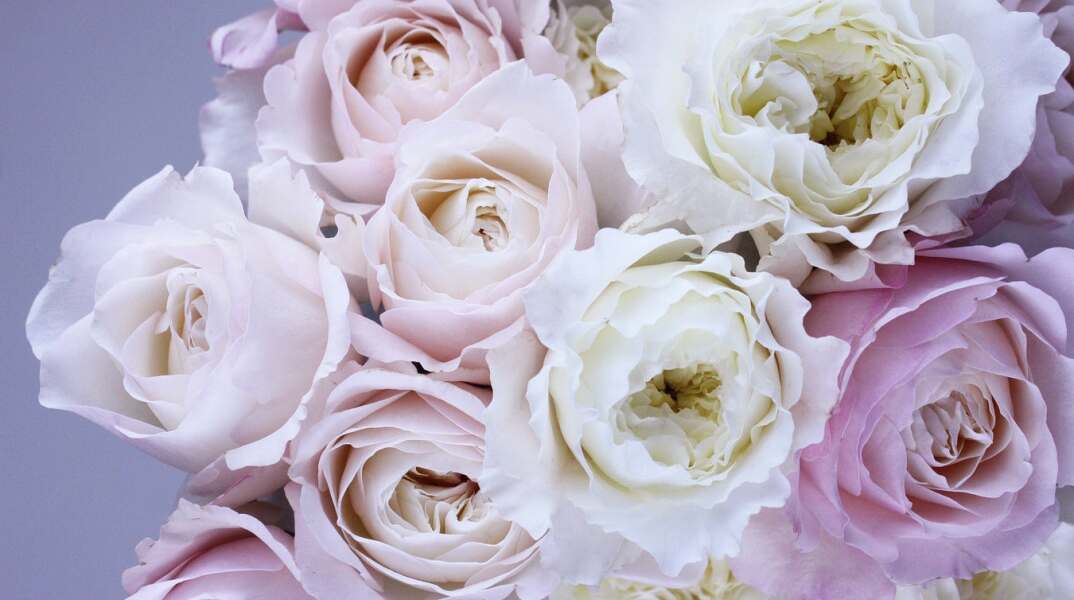 Εορτολόγιο: Σήμερα 2 Δεκεμβρίου γιορτάζει…