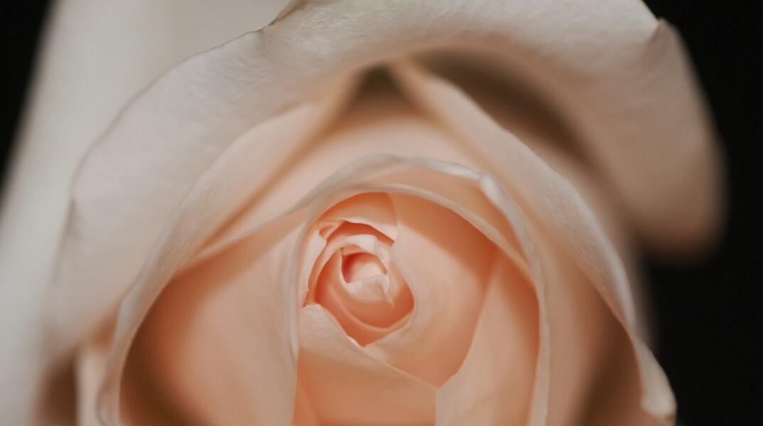 Εορτολόγιο: Σήμερα 18 Αυγούστου γιορτάζει…