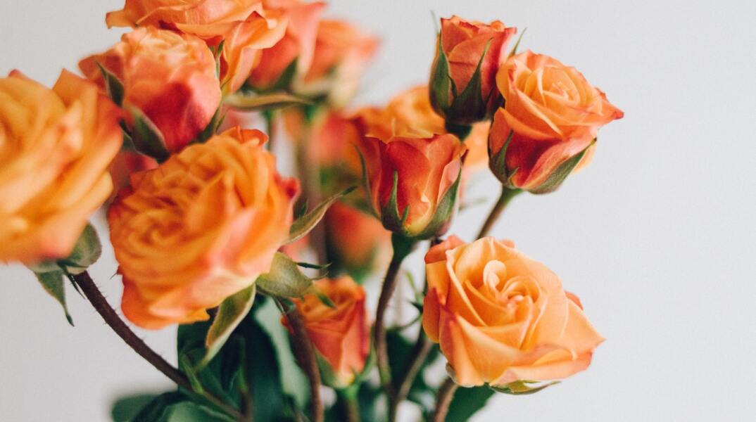 Εορτολόγιο: Σήμερα 6 Αυγούστου γιορτάζει…