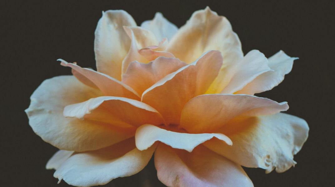 Εορτολόγιο: Σήμερα 26 Αυγούστου γιορτάζει…