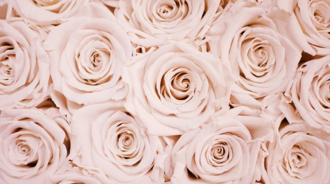 Εορτολόγιο: Σήμερα 13 Οκτωβρίου γιορτάζει…