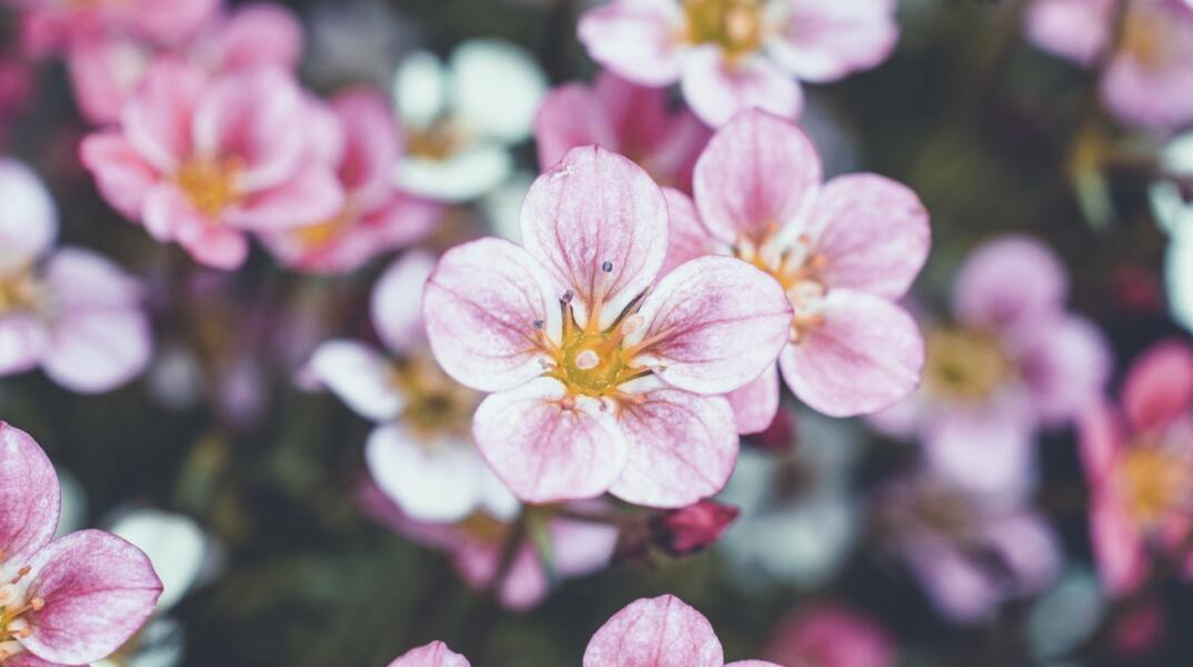Εορτολόγιο: Σήμερα 28 Οκτωβρίου γιορτάζει…