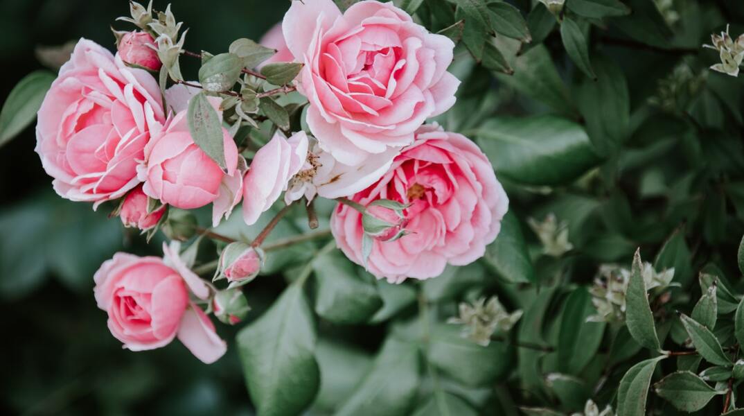 Εορτολόγιο: Σήμερα 23 Οκτωβρίου γιορτάζει…