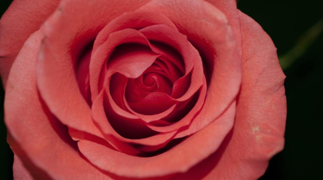 Εορτολόγιο: Σήμερα 7 Νοεμβρίου γιορτάζει…