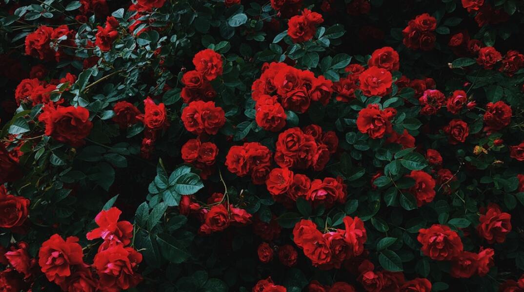 Εορτολόγιο: Σήμερα 2 Νοεμβρίου γιορτάζει…