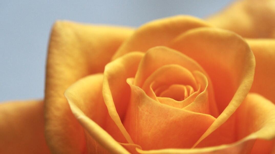 Εορτολόγιο: Σήμερα 28 Νοεμβρίου γιορτάζει...