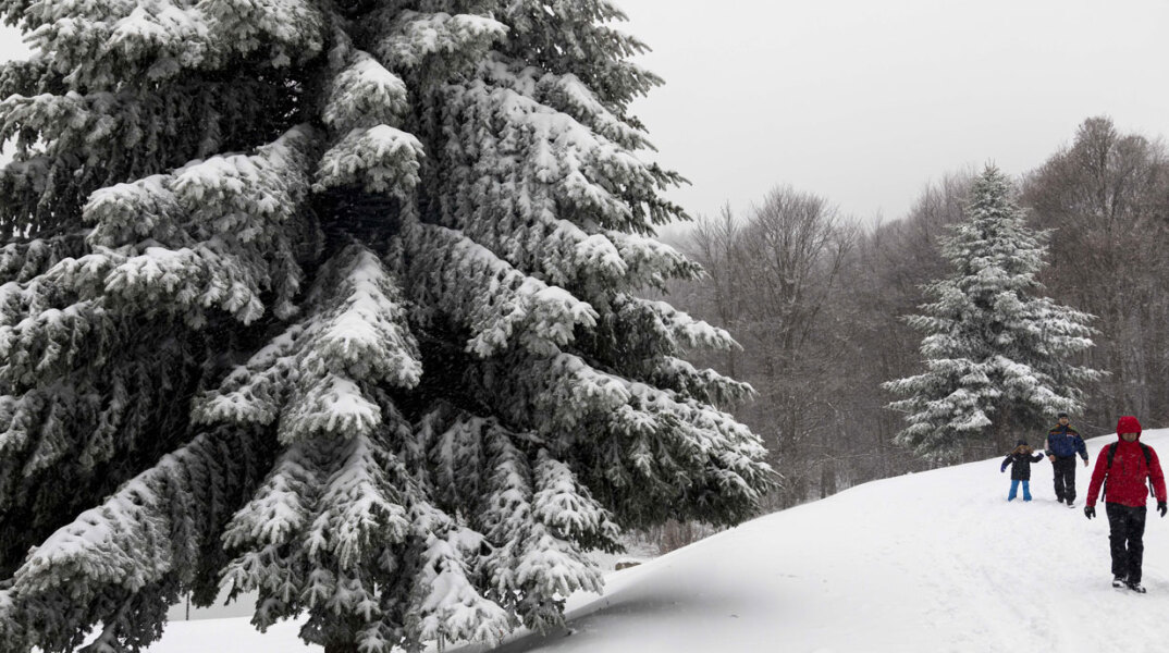 «Άσπρισε» ο Βόλος - Σφοδρή χιονόπτωση σε όλη τη Μαγνησία έφερε η «Μπάρμπαρα»