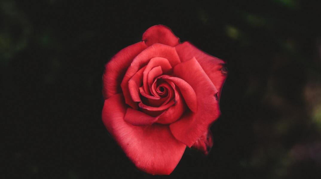 Εορτολόγιο: Σήμερα 15 Δεκεμβρίου γιορτάζει…