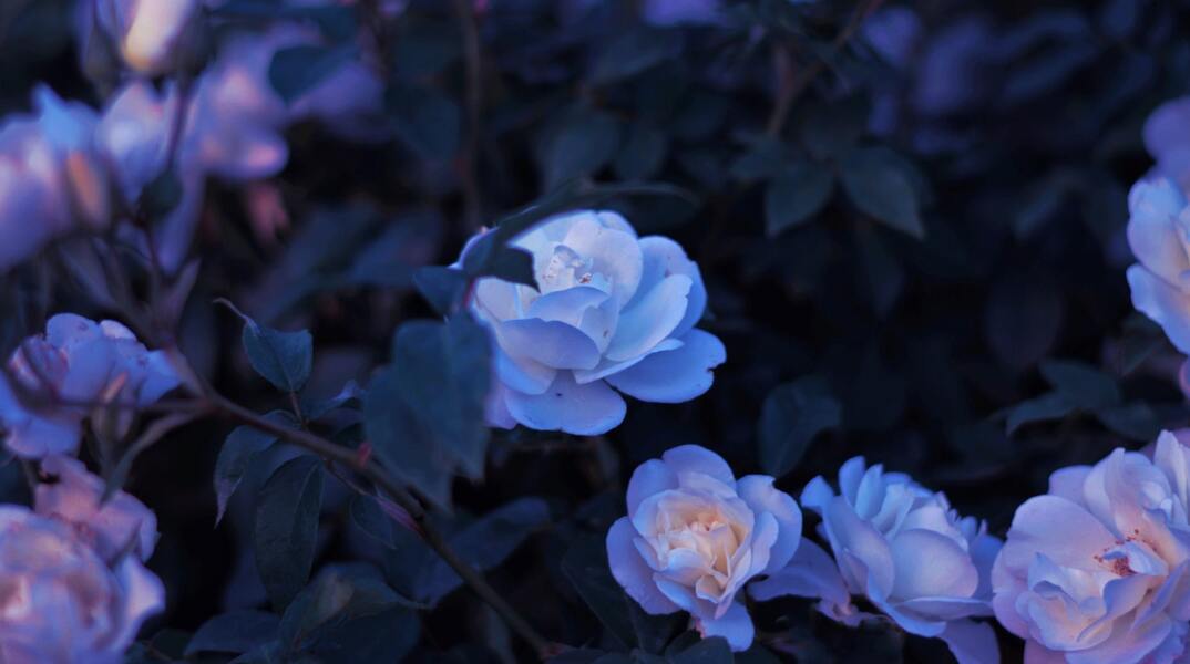 Εορτολόγιο: Σήμερα 27 Δεκεμβρίου γιορτάζει…