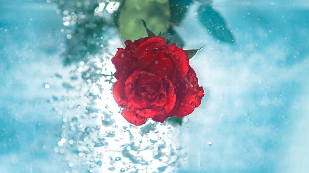 Εορτολόγιο: Σήμερα 16 Οκτωβρίου γιορτάζει…