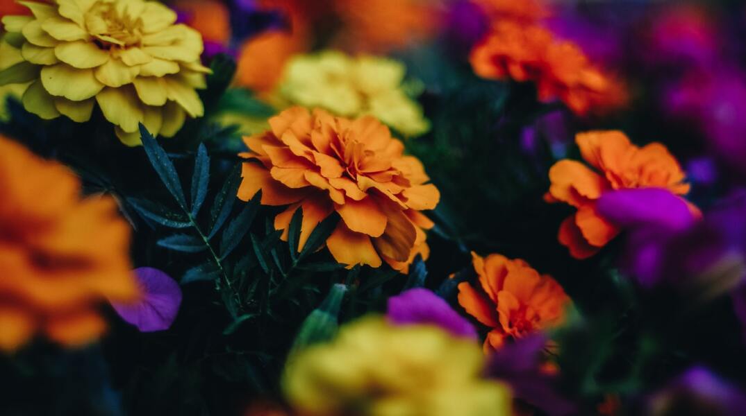 Εορτολόγιο: Σήμερα 4 Νοεμβρίου γιορτάζει…