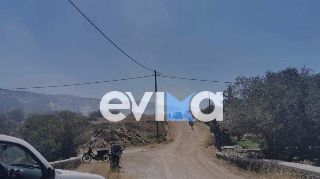Φωτιά τώρα στην Κάρυστο