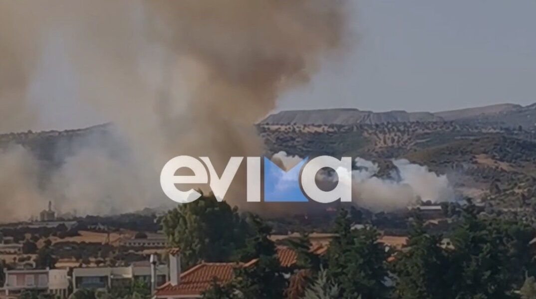Φωτιά σε δασική έκταση στο Κοντοδεσπότι Ευβοίας -Μεγάλη κινητοποίηση της Πυροσβεστικής